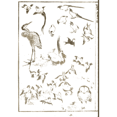 Cranes, magpies and small birds - Hokusai Manga, Volume 4 - 1868