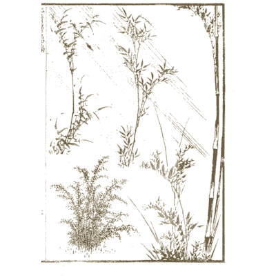 Bamboo and reeds - Hokusai Manga, Volume 4 - 1868