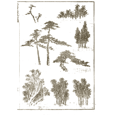 Pine, cedar and bamboo groves - Hokusai Manga, Volume 4 - 1868