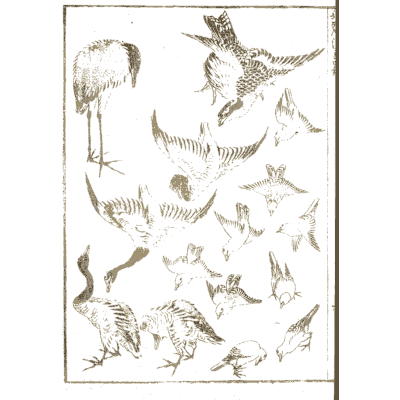 Cranes and swallows in flight - Hokusai Manga, Volume 4 - 1868