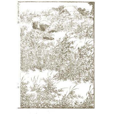 Figures in dense undergrowth - Hokusai Manga, Volume 9 - 1868