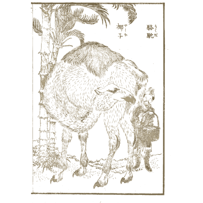 Camel with a handler - Hokusai Manga, Volume 13 - 1868