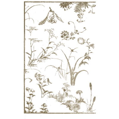 Autumn plants and flowers - Hokusai Manga, Volume 13 - 1868
