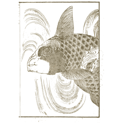 Carp with spreading fins - Hokusai Manga, Volume 13 - 1868