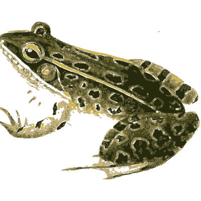 North American Herpetology, Volume 1 plate 120