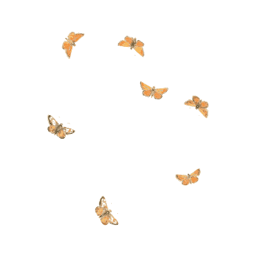 Small orange butterflies scattered - British Butterflies and Their Transformations - 1841