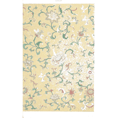 Flowering vine on cream - Examples of Chinese Ornament - 1867