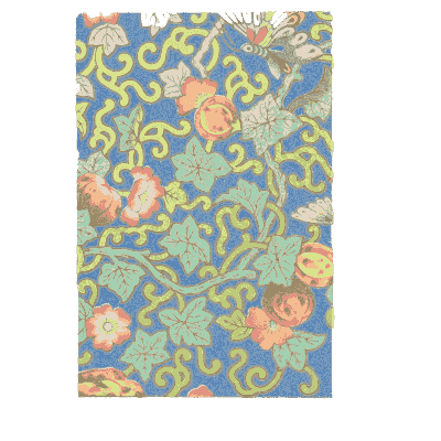 Border band over a flowered ground - Examples of Chinese Ornament - 1867