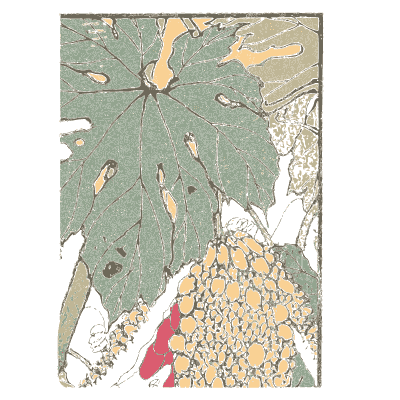 Small birds in a maple - Keinen Kacho Gafu, Volume 1 - 1891