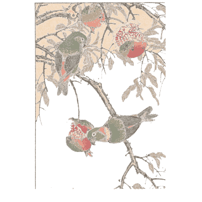 Birds and persimmons - Keinen Kacho Gafu, Volume 1 - 1891