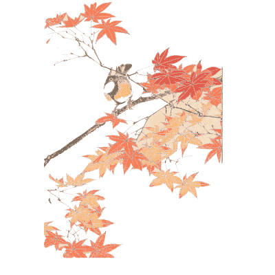 Bird on a maple branch - Keinen Kacho Gafu, Volume 1 - 1891