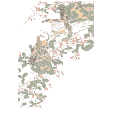 Bird among leafy sprays - Keinen Kacho Gafu, Volume 1 - 1891