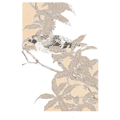 Bird among leaves - Keinen Kacho Gafu, Volume 1 - 1891