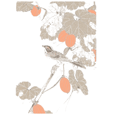 Bird among persimmons - Keinen Kacho Gafu, Volume 1 - 1891