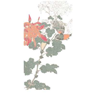 Bird on a flowering branch - Keinen Kacho Gafu, Volume 1 - 1891