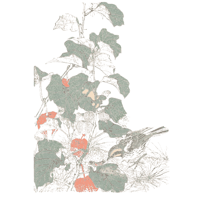 Birds among blossom - Keinen Kacho Gafu, Volume 1 - 1891