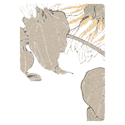 Bird and sunflower - Keinen Kacho Gafu, Volume 1 - 1891