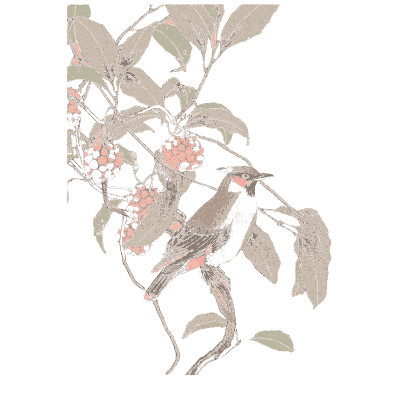 Birds among berries - Keinen Kacho Gafu, Volume 1 - 1891