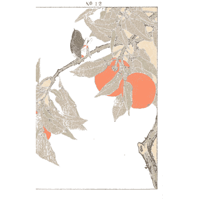 Persimmons on a branch - Keinen Kacho Gafu, Volume 2 - 1891