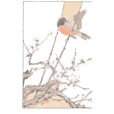 Birds on a blossom branch - Keinen Kacho Gafu, Volume 2 - 1891