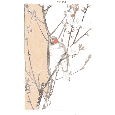 Bird on a plum branch - Keinen Kacho Gafu, Volume 2 - 1891