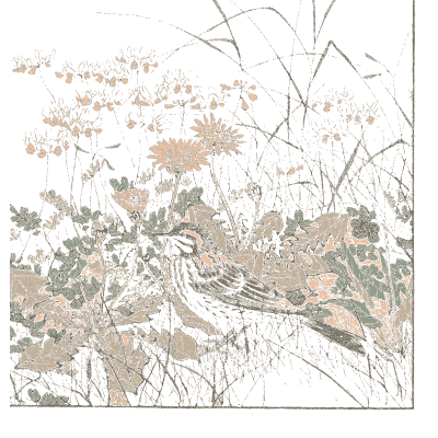 Bird among autumn grasses and flowers - Keinen Kacho Gafu, Volume 2 - 1891