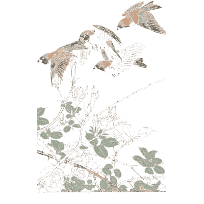 Birds in flight - Keinen Kacho Gafu, Volume 2 - 1891