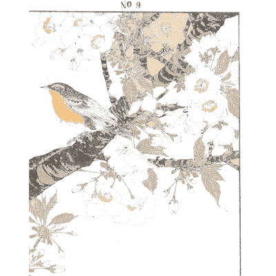 Birds on a branch - Keinen Kacho Gafu, Volume 2 - 1891