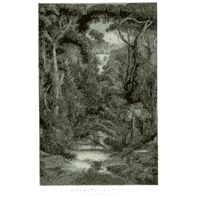 Stream through jungle - Pflanzenleben - 1887