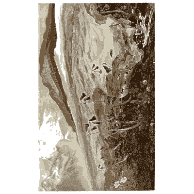Leaning trunk on a rocky slope - Pflanzenleben - 1887