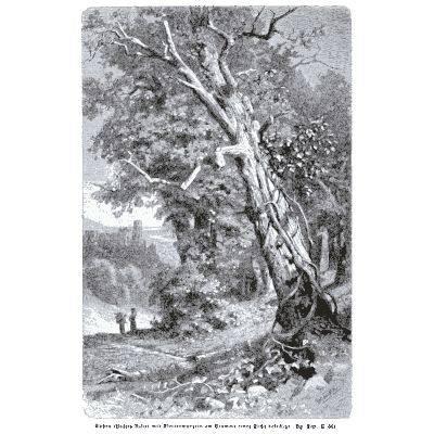 Broad crowned tree over a path - Pflanzenleben - 1887