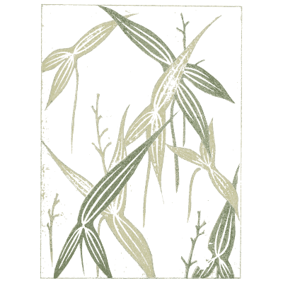 Bamboo leaf pattern plate - Shin Bijutsukai, Issue 1 - 1902