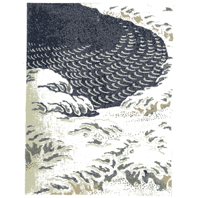 Wave and shore pattern plate - Shin Bijutsukai, Issue 2 - 1902