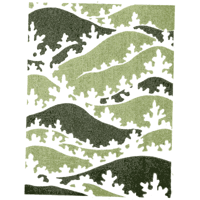 Green wave pattern plate - Shin Bijutsukai, Issue 2 - 1902