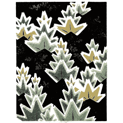 Stylised pine pattern plate on black - Shin Bijutsukai, Issue 2 - 1902