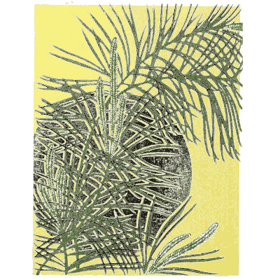 Pine spray pattern plate - Shin Bijutsukai, Issue 7 - 1902