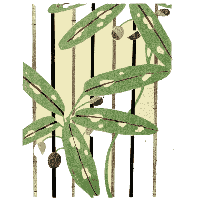 Bamboo leaf pattern plate - Shin Bijutsukai, Issue 7 - 1902