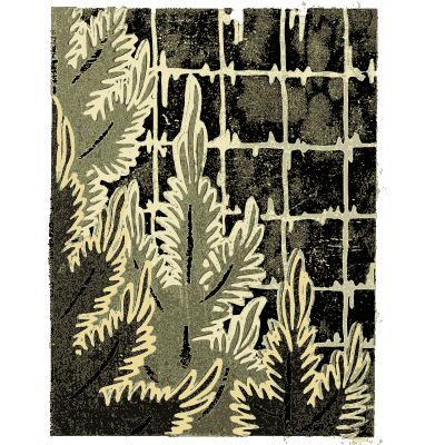 Grass and lattice pattern plate - Shin Bijutsukai, Issue 7 - 1902
