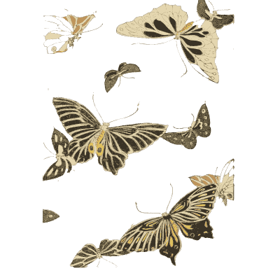 Butterfly pattern plate - Shin Bijutsukai, Volume 1 - 1902
