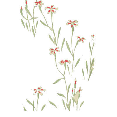 Wild pink sprig plate - Shin Bijutsukai, Volume 1 - 1902