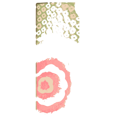 Concentric roundel pattern plate - Shin Bijutsukai, Volume 1 - 1902