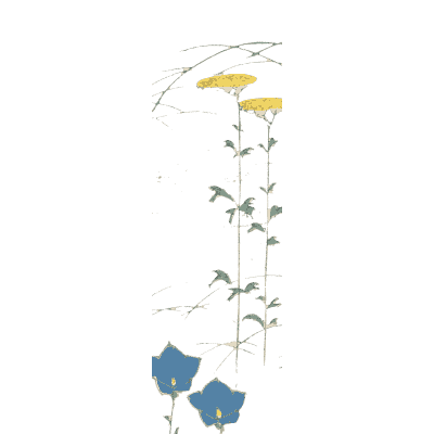 Bellflower sprig plate - Shin Bijutsukai, Volume 1 - 1902