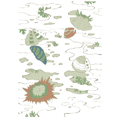 Seashell and seaweed pattern plate - Shin Bijutsukai, Volume 1 - 1902