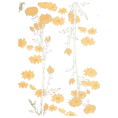Small flower pattern plate 02 - Shin Bijutsukai, Volume 1 - 1902