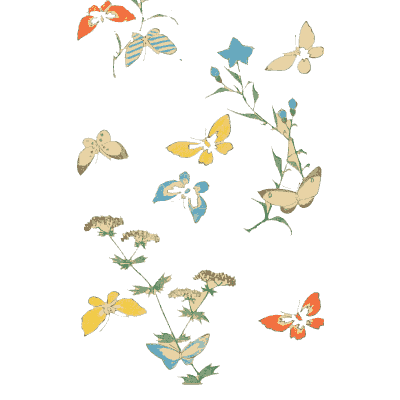 Butterfly and wildflower plate - Shin Bijutsukai, Volume 1 - 1902