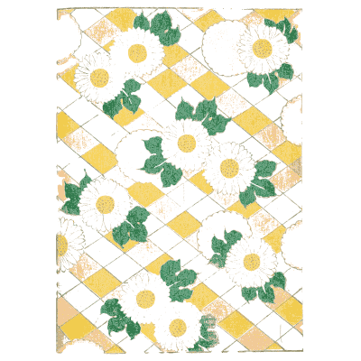 Daisy and lattice pattern plate - Shin Bijutsukai, Volume 1 - 1902