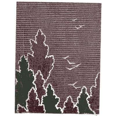 Pines and birds under rain plate - Shin Bijutsukai, Issue 8 - 1902