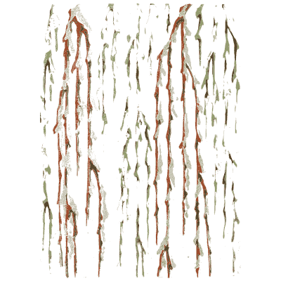 Streaked colour pattern plate - Shin Bijutsukai, Issue 9 - 1902