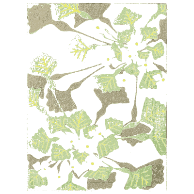 Scattered leaf pattern plate - Shin Bijutsukai, Issue 10 - 1902