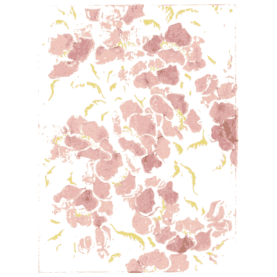 Scattered petal pattern plate - Shin Bijutsukai, Issue 10 - 1902